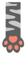 Cat paw
